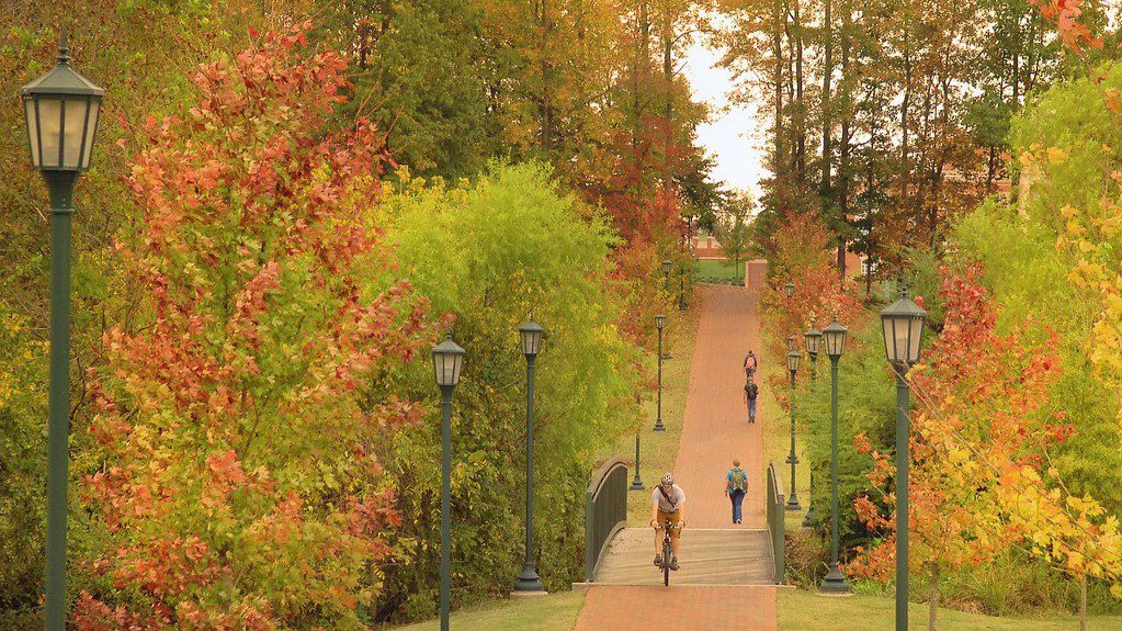 Photo of UNC Charlotte campus