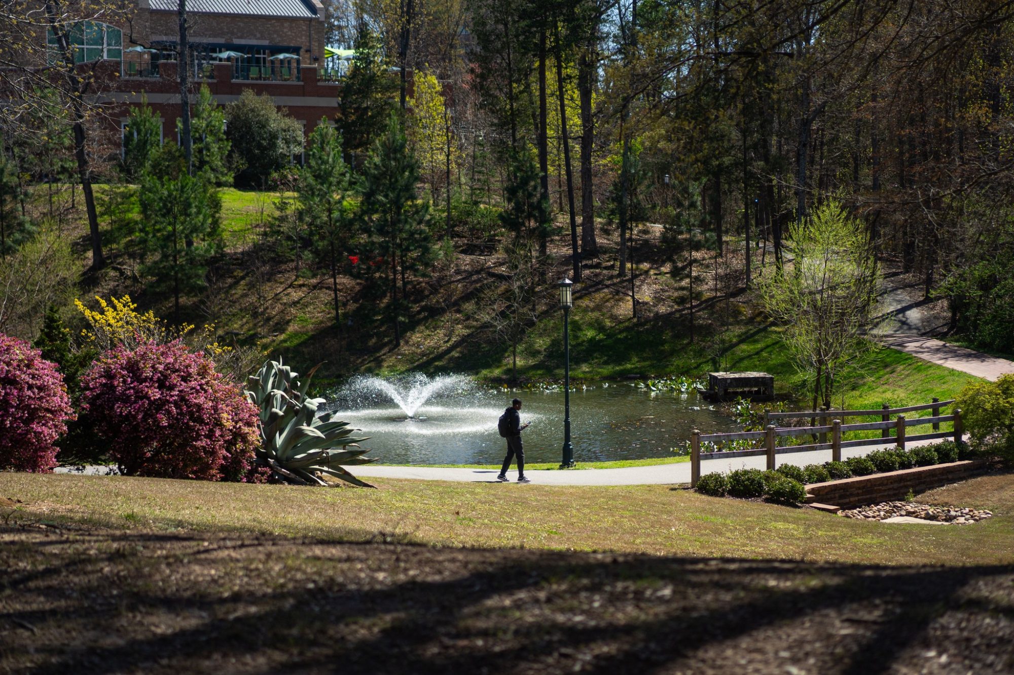 A Niner strolls across campus