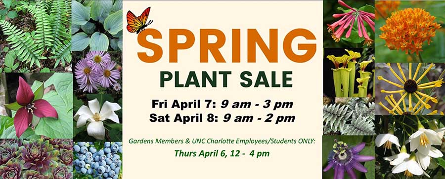 spring plant sale