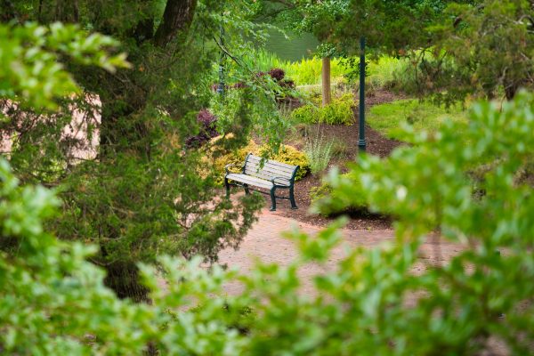 Campus beauty shot of a bench