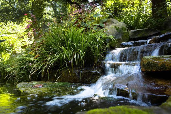 Botanical Gardens Waterfall