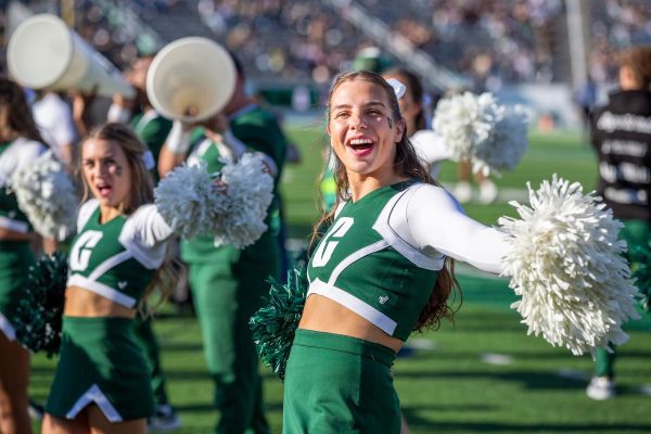 Charlotte cheerleaders