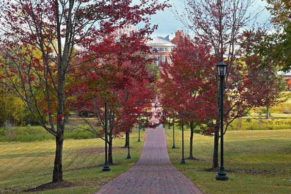 Campus Photo