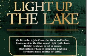 Photo: Light up the lake